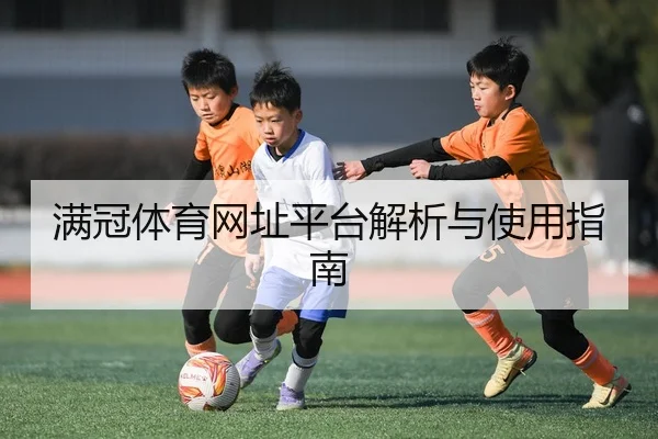 满冠体育网址平台解析与使用指南