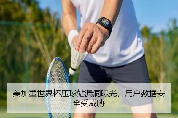 美加墨世界杯压球站漏洞曝光，用户数据安全受威胁