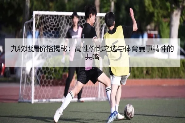 九牧地漏价格揭秘：高性价比之选与体育赛事精神的共鸣